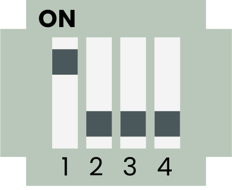 heidelberg4.png